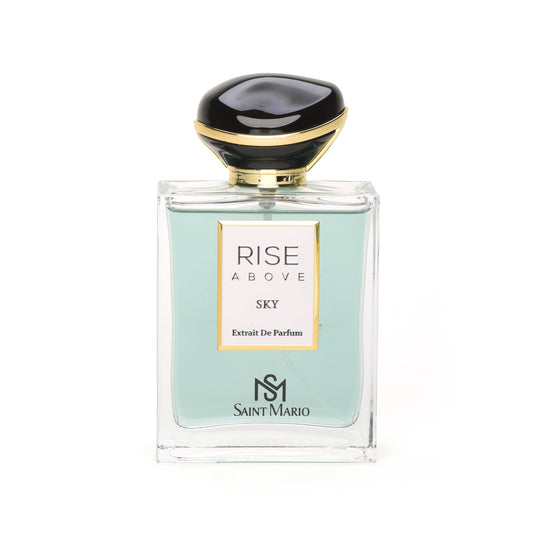 RISE ABOVE SKY 100ML