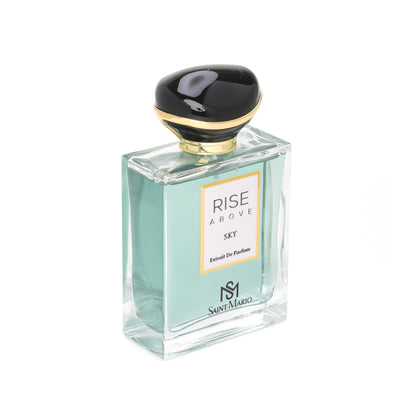 RISE ABOVE SKY 100ML